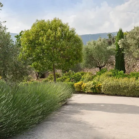 Tenuta Campetti *
